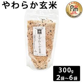 【クーポン利用で200〜5000円OFF】【バレンタインにおすすめ】やわらか玄米 300g×2〜6袋 お米マイスター 五つ星 山芋 とろろ 鹿児島県 バレンタイン 職場 同僚 取引先 産地直送 お取り寄せ ギフト プレゼント 贈り物 送料無料