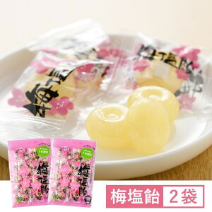  Cm[w ~ 90g×2 ~ ߖ     A LfB LfB[   ~l MǑ΍ ăoe ΍ h~ \h E ҏ 