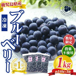 y500~ OFFN[|zyGnI7{珇z Y Y Ⓚu[x[ 1kg _sgp ʌ Ai I嗱 Ղ e Ⓚʕ  t[c u[x