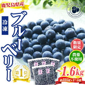 【クーポン利用で200〜5000円OFF】【お中元におすすめ】 早期予約！ 国産 冷凍ブルーベリー 1kg 農薬不使用 数量限定 厳選大粒 冷凍果物 冷凍フルーツ 鹿児島県 お中元 職場 同僚 取引先 産地直送 お取り寄せ ギフト プレゼント 贈り物 送料無料