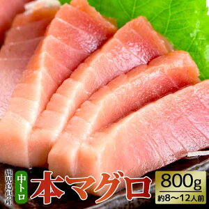 y500~ OFFN[|z Y{}Oy}O̒gz 8`12lO 200g×4 e 800g {܂ }O  {  ܂ ܂  Ƃ g i hg  CN