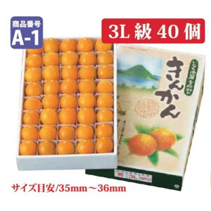 y500~ OFFN[|zʌ 2025NtJnI  n񂩂 3L40 ~Mtg yYnzyԌz LJ  Ε Ε MtgΉ y12{ȍ~ z