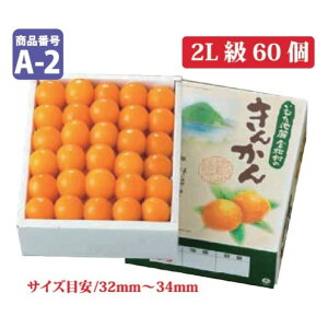 y500~ OFFN[|zʌ 2025NtJnI  n񂩂 2L60 ~Mtg yYnzyԌz LJ  Ε Ε MtgΉ y12{ȍ~ z