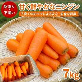 【クーポン利用で200〜5000円OFF】【ハロウィンにおすすめ】【早期予約！2026年12月〜順次発送】 鹿児島県産 にんじん 7kg 訳あり 人参 野菜 食品 産地直送 産直 鹿児島県 ハロウィン 職場 同僚 取引先 産地直送 お取り寄せ ギフト プレゼント 贈り物 送料無料