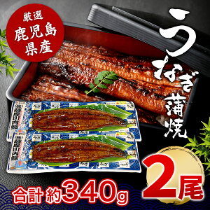  Y ȂĂ 170g×2 (^ERt)  Y BY Y FȂ Ⓚ  a Ε j  j ސEj Mtg v[g O