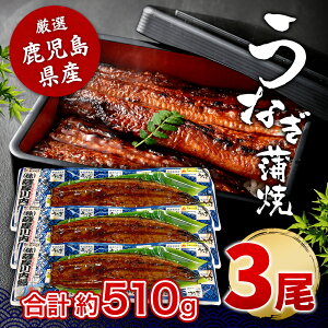  Y ȂĂ 170g×3 (^ERt)  Y BY Y FȂ Ⓚ  a Ε j  j ސEj Mtg v[g O