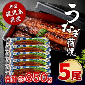  Y ȂĂ 170g×5 (^ERt)  Y BY Y FȂ Ⓚ  a Ε j  j ސEj Mtg v[g O