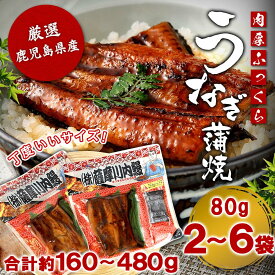 【クーポン利用で200〜5000円OFF】国産 鹿児島県産 うなぎ蒲焼カット 約75g 約半身 ハーフカット 薩摩川内うなぎ 蒲焼 うなぎ蒲焼 冷凍 鹿児島 鰻 ウナギ ギフト プレゼント バレンタイン 土用丑の日