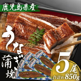 鹿児島県産 うなぎ蒲焼き 約170g×5尾 (タレ・山椒付き) 特大 国産 九州産 鹿児島産 薩摩川内うなぎ 冷凍 鹿児島 誕生日 御歳暮 お祝い お礼 内祝い 退職祝い ギフト プレゼント グルメ 御中元 国内産 ウナギ 鰻 お中元 御中元 丑の日 土用丑の日 2023