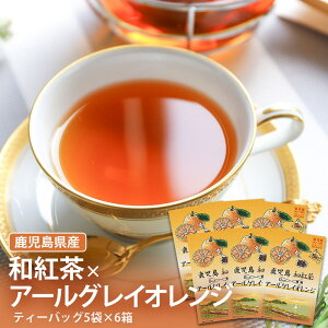 y500~ OFFN[|z Y A[OCIWag 15ܓ t[o[eB[ Yt  mJ[ 0kcal xKbg g eB[obO eB[pbN 蕨 