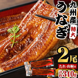   Y Ȃ170g×2 ^ƎRt BY FȂ Ⓚ  a Ε j  j ސEj Mtg v[g O 䒆 Y Y Ȃ