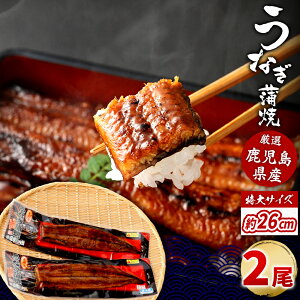 y500~ OFFN[|z  Y Ȃ170g×2 ^ƎRt BY FȂ Ⓚ  a Ε j  j ސEj Mtg v[g O 䒆