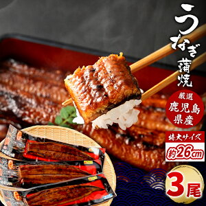 y500~ OFFN[|z Y ȂĂ 170g×3 Ȃ Ă Y Ȃ Ă 170g 3 Ȃ  Ȃ Ⓚ  Y BY V EiM Mtg v[g 