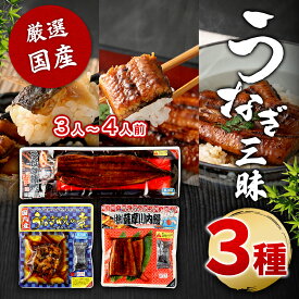 【クーポン利用で200〜5000円OFF】送料無料 国産 うなぎ蒲焼き 3種 詰め合わせ ( 蒲焼き ハーフサイズ きざみうなぎ ) 蒲焼きセット 特大サイズ 鹿児島県産 鹿児島 鰻 うなぎ ウナギ ひつまぶし 鰻めし うな重 うな丼 ギフト プレゼント 土用丑の日 バレンタイン