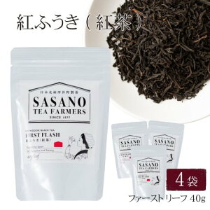 y500~ OFFN[|z gӂ g t@[Xg ([t) 40g × 4܃ZbgylR|XzzyY  [t