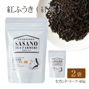 y500~ OFFN[|z gӂ g ZJh ([t) 40g × 2܃ZbgylR|XzzyY  [t