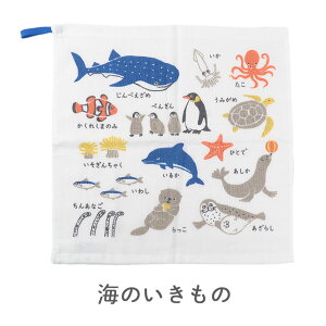 [vt^I ^I 33×33cm Pi Rbg  { [vt^I qp LbY ct ۈ牀 [v^I ^I ̎q j̎q 킢 Mtg K[[  w Rbg