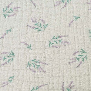 yLINE300~OFFN[|zzz ^I K[[ K[[^I tFCX^I 31×80cm { \C _炩 ӂӂ J[h z  k J[h  Q p