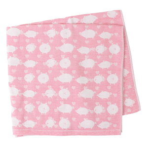 K[[^I oX^I K[[ 6d  100% Rbg { q ӂ _炩 xr[ Mtg  LbY 70×100cm Aj} tbtB[ K[[ tbtB[ ELFN-350 Gt@gC