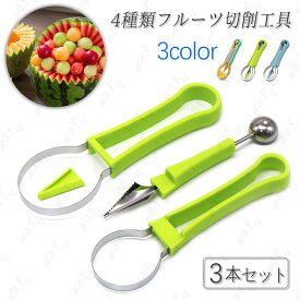 br193#カービングナイフ 3点セット 日本国内当日発送 フルーツカービング 皮むき 果物ナイフ 多機能 キッチン用品 フルーツ 切削工具 種取り フルーツナイフ