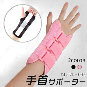 z111#T|[^[ {  XgK[h ewT|[^[  T|[^[ F≊ ×p 荪ǏǌQ  ̒ɂ Œ ʋC jp