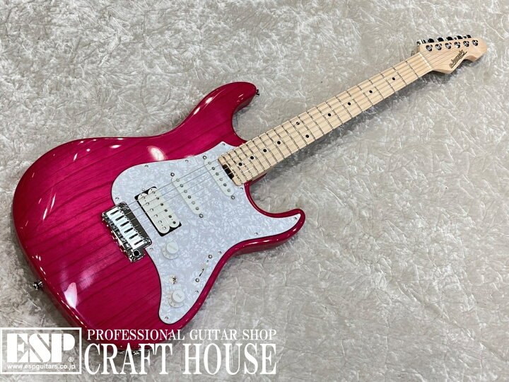 楽天市場】【ESP直営店】【即納可能】EDWARDS E-SNAPPER-AS/M / See 