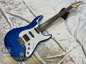yESPcXzy[\zGreco WS-ADV-G/QT /Aqua Blue yESPcXz[ESP Guitar Workshop蔭]