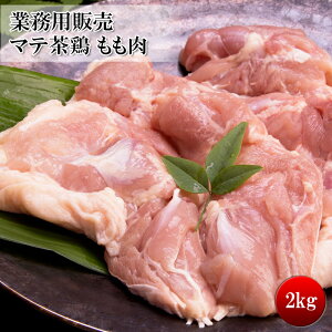 [ǂł5iő] }e{ 2kg uh{̈ႢɃIXX܂ { e ƖpTCYł Ⓚ