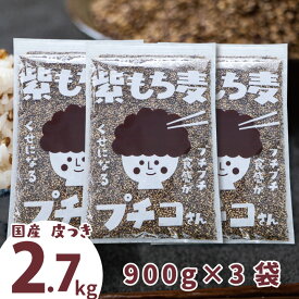 国産 皮つき 紫 もち麦 プチコさん 2.7kg（900g3袋）ダイシモチ アントシアニン 腸内環境 食物繊維 送料無料 あす楽 【RSL】