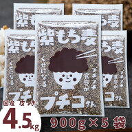 国産 皮つき 紫 もち麦 プチコさん 4.5kg （900g5袋） ダイシモチ アントシアニン 腸内環境 食物繊維 送…