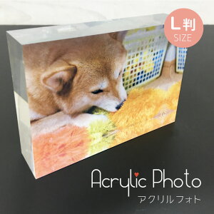  ʐ^ ANtHg LTCY  e ybg ANtHg ANubN tHgt[ L[u I[_[Ch v[g Mtg ObY q Ԃ xr[ 