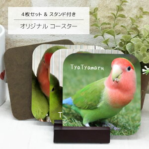 ʐ^  R[X^[ 4Zbg X^ht  l[ʐ^ R[X^[ v[g Mtg IWi I[_[Ch av[g