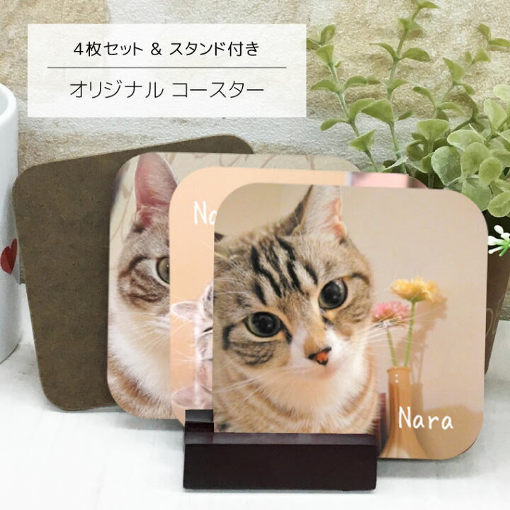 楽天市場】写真入り 猫 コースター 4枚セット スタンド付き 名入り  