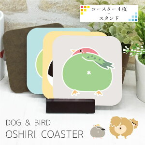 R[X^[ 4Zbg X^ht     킢  ObY ObY G G a Mtg v[g ybg