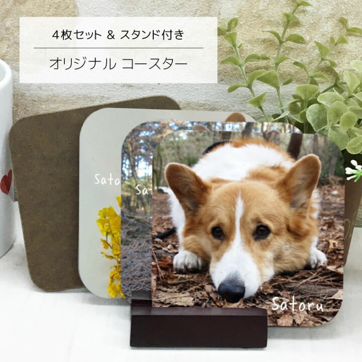 楽天市場】写真入り 犬 コースター 4枚セット スタンド付き 名入り  