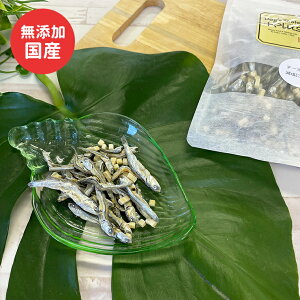  Y `[Y錸ϊ 35g Yt[h hbOXe[uvX ybg Mtg v[gyΏۊOz