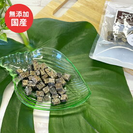 犬 おやつ 無添加 牛レバー キューブ 40g 国産フード ドッグステーブルプラス ペット ギフト プレゼント【名入れ対象外】