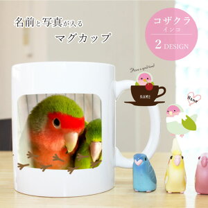 ʐ^ RUNCR }OJbv ybg  l[ I[_[Ch v[g Mtg Rbv LO a ObY G