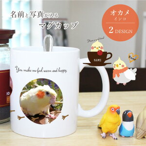 ʐ^ IJCR }OJbv ybg  l[ I[_[Ch v[g Mtg Rbv LO a ObY G