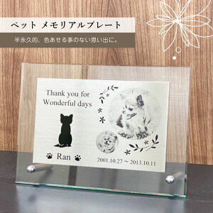 ʐ^ Av[g tHgt[ v[g Mtg O AN  A j̎q ̎q I[_[Ch LOi ̋