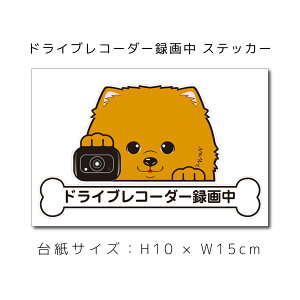  hRXebJ[ |jA XebJ[ ԃXebJ[ hCuR[_[^撆  ybg ԗp LYB B dog hbO Ck ʁyΏۊOz