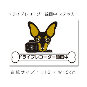 ~j`AsV[ ~js XebJ[ ԃXebJ[ hCuR[_[^撆  ybg ԗp LYB B dog hbO Ck ʁyΏۊOz