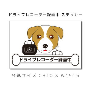  hRXebJ[ WbNbZ XebJ[ ԃXebJ[ hCuR[_[^撆  ybg ԗp LYB B dog hbO Ck ʁyΏۊOz