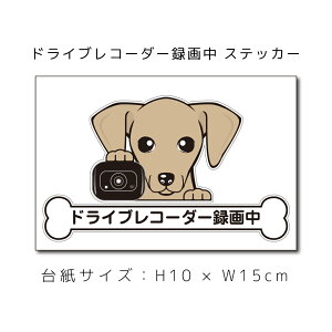  C^AO[nEh C^O XebJ[ ԃXebJ[ hCuR[_[^撆  ybg ԗp LYB B dog hbO Ck ʁyΏۊOz