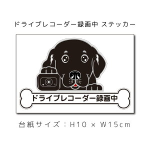  hRXebJ[ uh[go[ () XebJ[ ԃXebJ[ hCuR[_[^撆  ybg hbO  ybg AKX Ԍ AKX obNhA