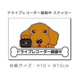 ドラレコステッカー トイプードル 犬ステッカー 車ステッカー ドライブレコーダー録画中 窓 ペット 車用 キズ隠し 傷隠し dog ドッグ イヌ いぬ