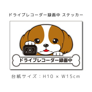  hRXebJ[ V[Y[ XebJ[ ԃXebJ[ hCuR[_[^撆  ybg ԗp LYB B dog hbO Ck ʁyΏۊOz