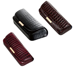 v[gpbsOzbN v胁KlP[X FG-8 @ĕtyz