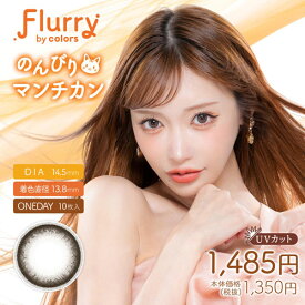 フルーリー Flurry(10枚入り)2箱【定形外郵便送料無料】(明日花キララ Pegavision Japan株式会社 1day カラコン コンタクト 度なし 度あり)