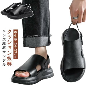 Y v T_  v XgbvT_ vT_ U[T_ {v EVA 5cm U[ y xg q[ gAbv {v   W[  ubN t  